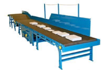 Parcel Belt Conveyor