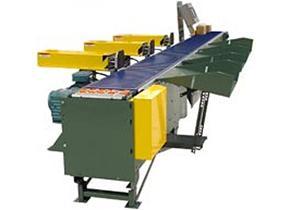 Right Angle Sortation Conveyor- ViperSort