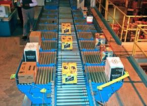 Palletizing Systems